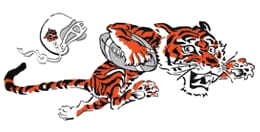 1968 Cincinnati Bengals logo