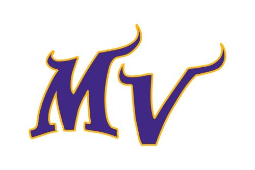 Minnesota Vikings Alternate Logo